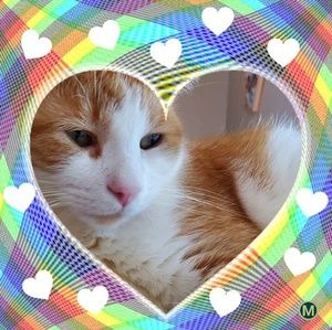 Meet your Posher, Brandy